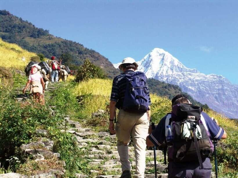 Pokhara: Annapurna Day Hike with Panoramic Views - Panoramic Annapurna views without committing to a multi-day trek