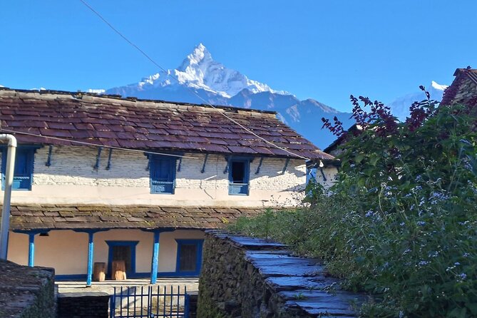 Pokhara: Easy Day Hike to Australian Camp & Dhampus Village - Lunch at the top: the best part of the effort