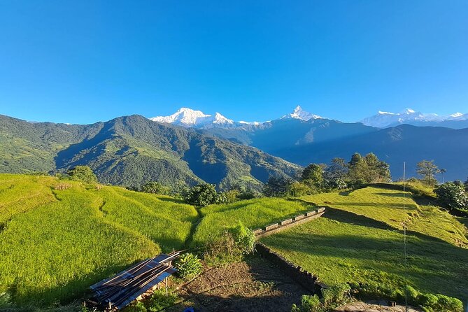 Pokhara: Easy Day Hike to Australian Camp & Dhampus Village - Sarangkot viewpoints and why timing matters