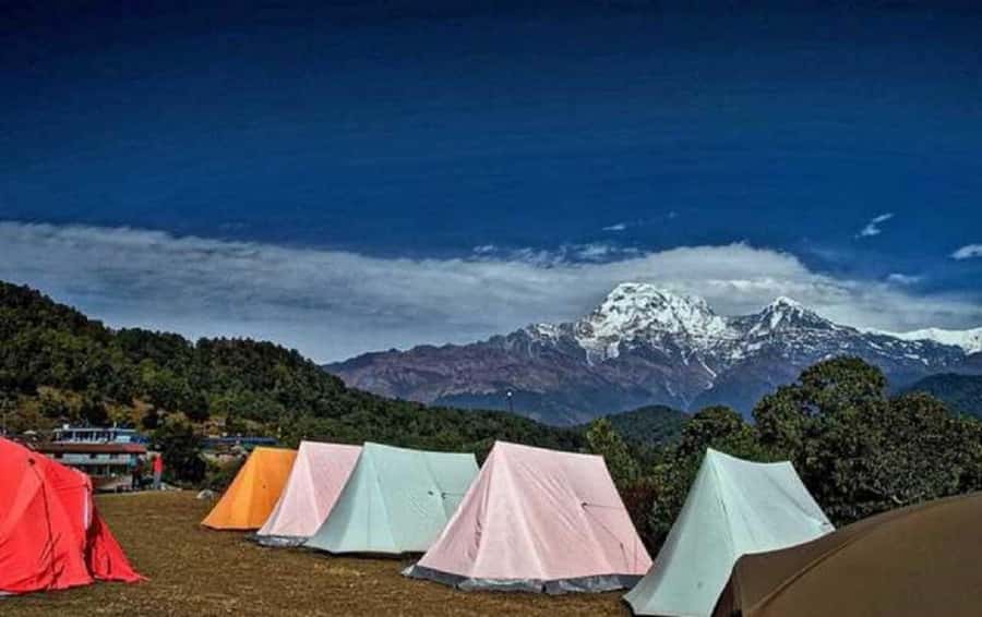 Pokhara: Guided Day Hike From Dampus To Australian Base Camp - Key things I’d circle before you go