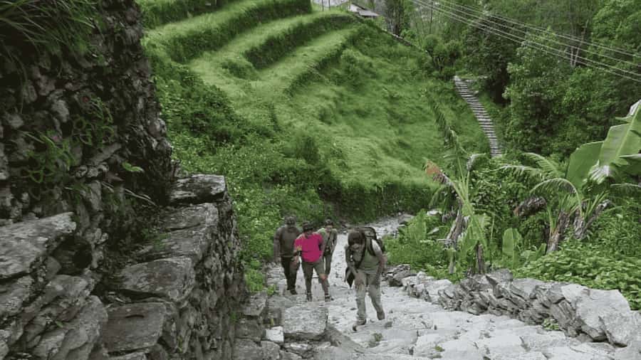Pokhara: Guided Day Hike From Dampus To Australian Base Camp - Dhampus To Australian Camp: Why This Short Annapurna Hike Works