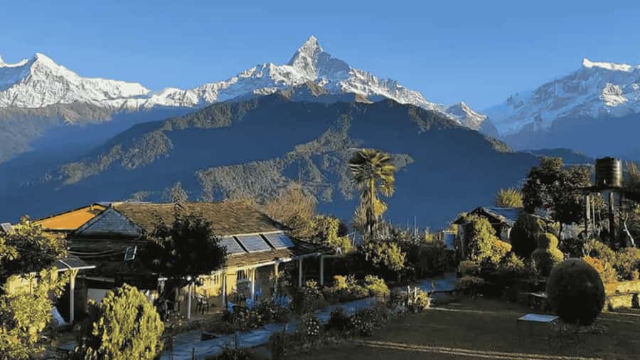 Pokhara: Guided Day Hike From Dampus To Australian Base Camp - Dhampus Village Time: Gurung Culture and Ridge Views