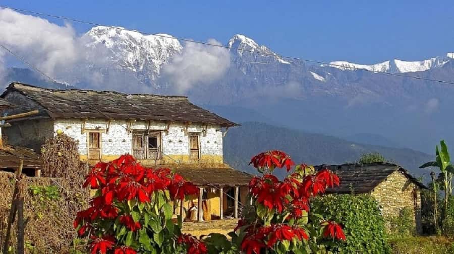 Pokhara: Guided Day Hike From Dampus To Australian Base Camp - Australian Camp (Australian Base Camp): What You’ll See at 2,100 Meters