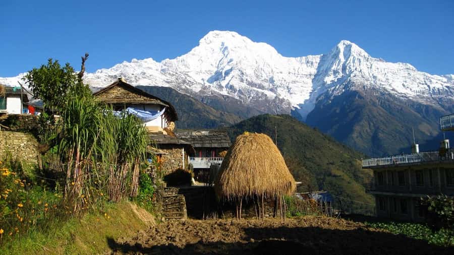 Pokhara: Guided Day Hike From Dampus To Australian Base Camp - Sunrise Viewing: Getting the Timing Right (And Staying Warm)