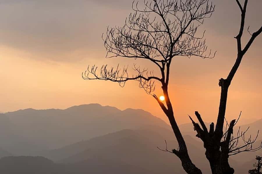 Pokhara: Guided Day Hike From Dampus To Australian Base Camp - Guides, Private Group Style, and What You Get for Your Money