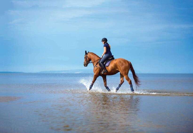Pokhara: Horseback Riding Adventure with Hotel Pickup - Provider note: Snow Peak Tours and Travels