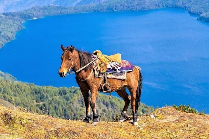 Pokhara: Horseback Riding Adventure with Hotel Pickup - Price and value: what $32 covers, and what to budget for