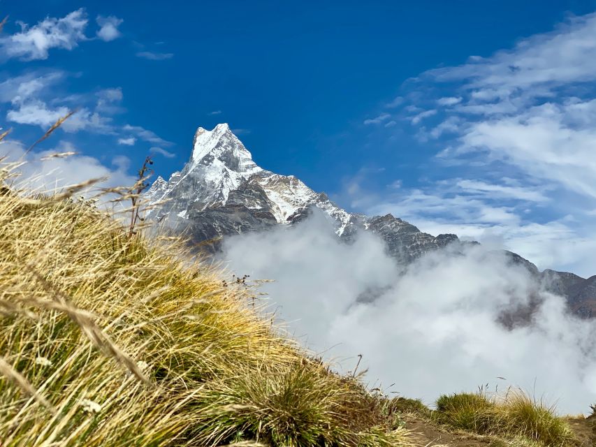 Pokhara: Majestic Mardi Base Camp Guided Trek with HotSpring - Day 5: the short finish, then back to Pokhara