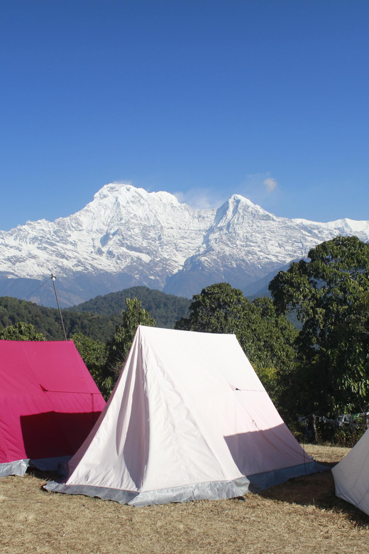 Pokhara: One night camping, campfire stay at Australian camp - Should You Book This Two-Day Australian Camp Trek?
