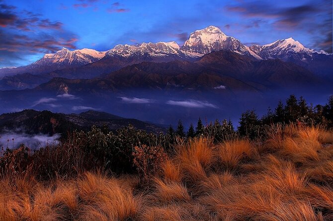 Pokhara: Poon Hill Ghorepani Short Trek - Day 3: The 4:00 AM Push to Poon Hill, Then Back Down