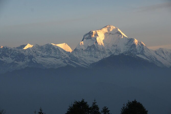 Pokhara: Poon Hill Ghorepani Short Trek - Price and Value: Why $290 Can Make Sense for a 3-Day Trek