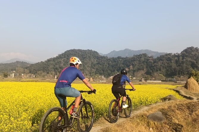 Pokhara Valley Mountain Bike Adventure Private Tour - Getting started: pickup, private transportation, and your group’s rhythm