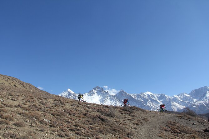 Pokhara Valley Mountain Bike Adventure Private Tour - Raniban forest, wildlife chances, and the quiet outdoors break