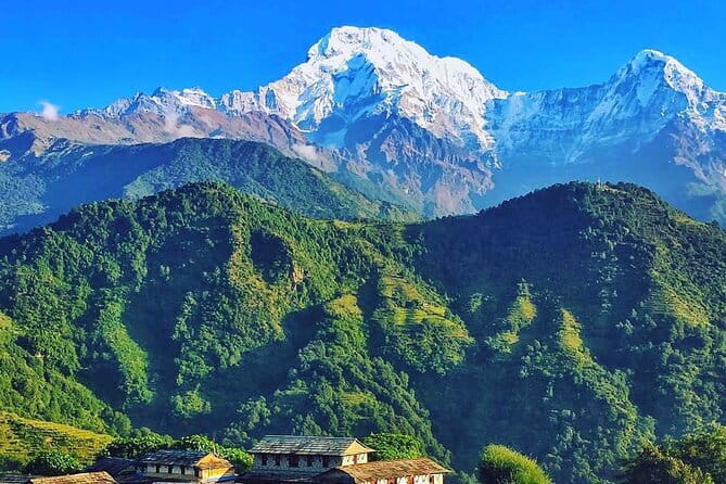 Poon Hill Ghandruk Circuit Trek from Pokhara 4 Days - Lodges and food: the comfort that makes a short trek actually enjoyable
