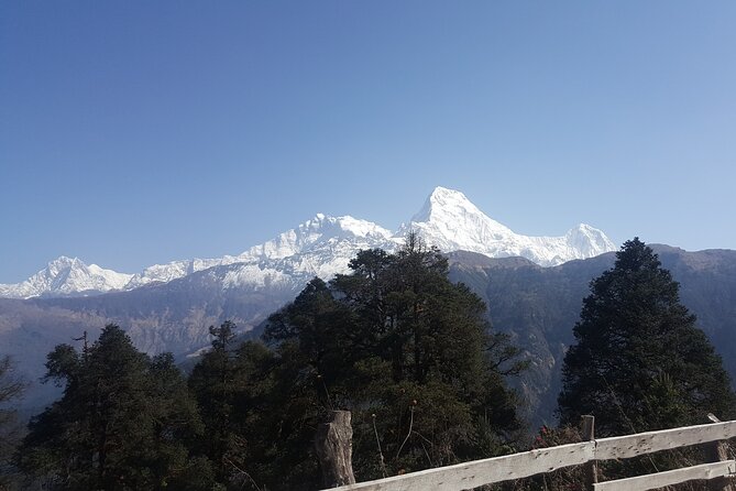 Poon hill Trek 3 days - Gear, Permits, and What’s Included (So You Don’t Guess)