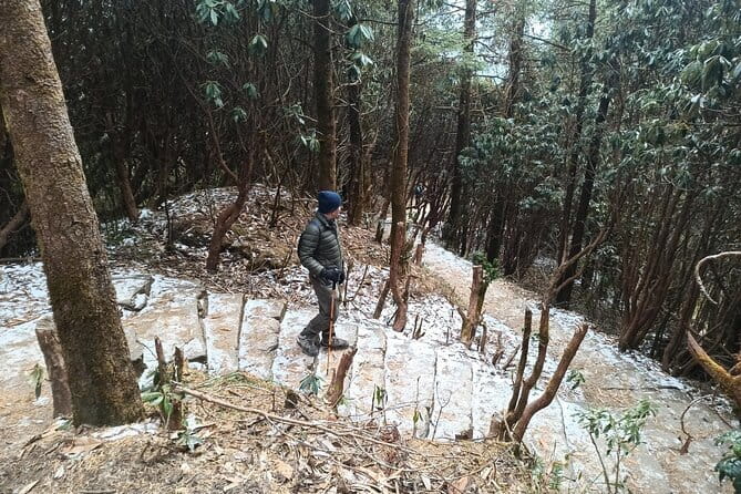 Poon Hill Trek from Pokhara 4 Days - Guide support: the difference between a trek and a smooth trek