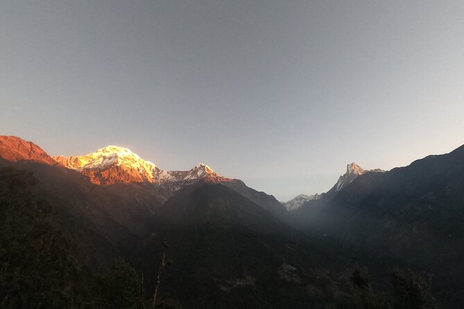 Private 7 - Day Annapurna Base Camp Trekking - Day-by-day walking reality: Chhomrong, Deurali, and the ABC approach