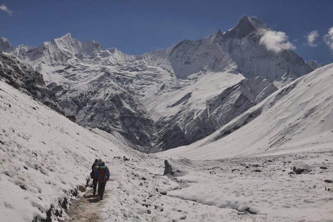 Private 7 - Day Annapurna Base Camp Trekking - Price and value: is $625 fair for a private ABC trek?