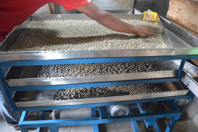 Sarangkot Village Coffee Culture and Authentic Local Life Tour - Why This Sarangkot Coffee Tour Feels So Real