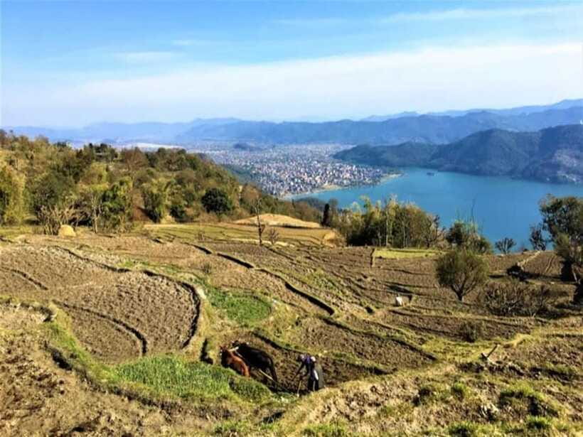 Seti George and Thrilling Suspension Bridge Tour at Pokhara - Price, Time, and Expectations: Setting Yourself Up for a Great Day